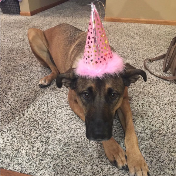 Meet your Posher, Sarah - Picture 8 of 8